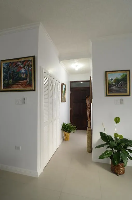 Choose To Be Happy At Ei8Ht! - Super Studios And Penthouse Apartment Kingston